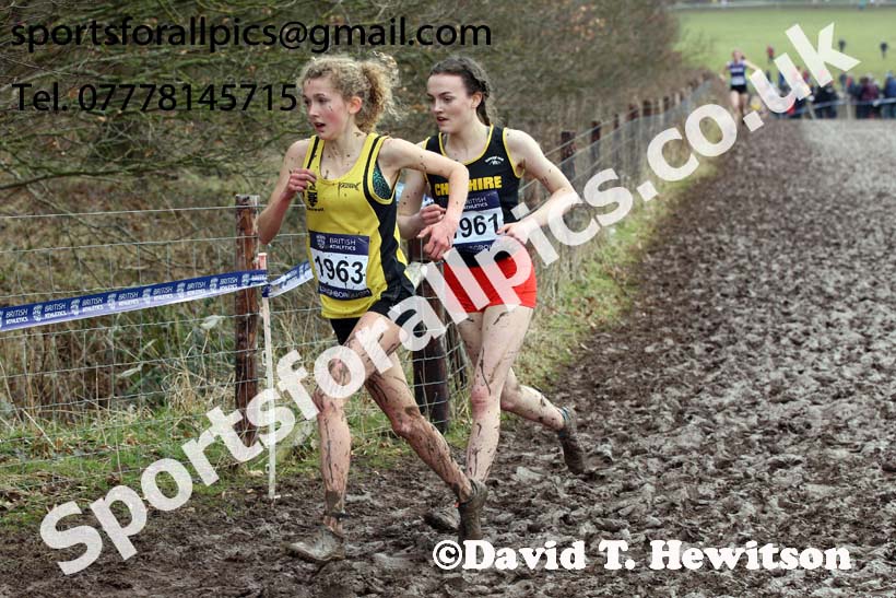 Womens under-17s 2018 British Inter Counties Cross Country Champs., Prestwold Hall, Loughborough. Photo: David T. Hewitson/Sports for All Pics